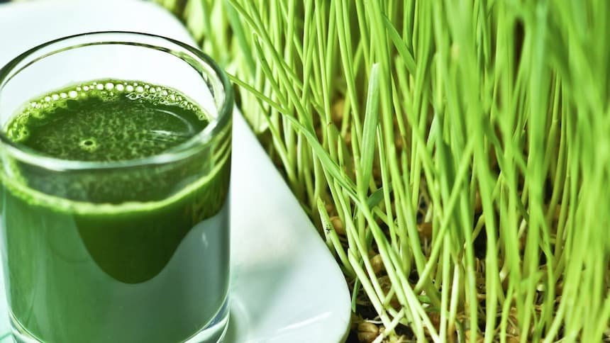 Wheat Grass Juice