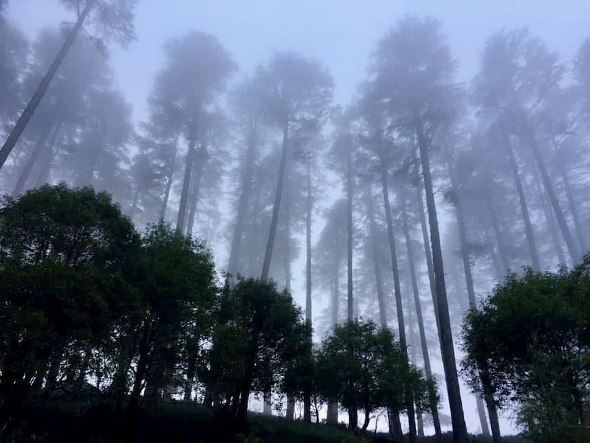 Mussoorie - Dhanaulti, Uttarakhand